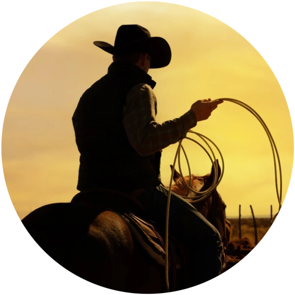 Silhouette of a cowboy riding a horse at sunset, holding a lasso, ideal for western and outdoor adventure themes.